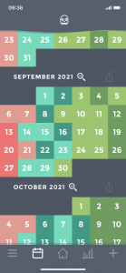Moodistory App Calendar Monthly View