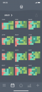 Moodistory App Calendar Yearly View