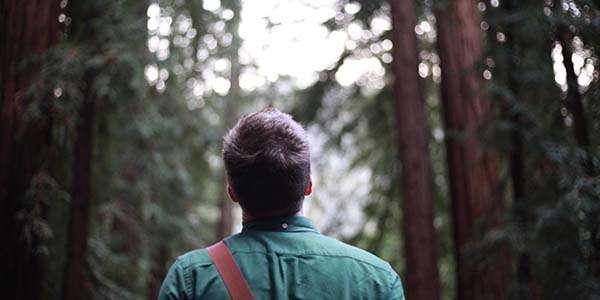 A walk in the woods can improve your mood