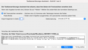 CSV Datei in Excel importieren 1