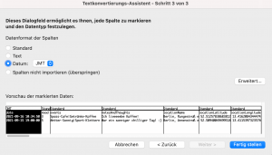 CSV Datei in Excel importieren