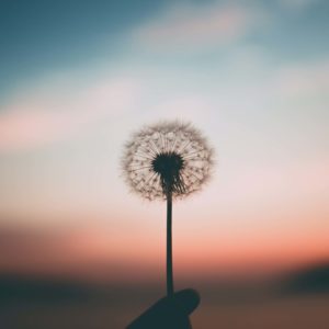 Mindfulness and mood tracking